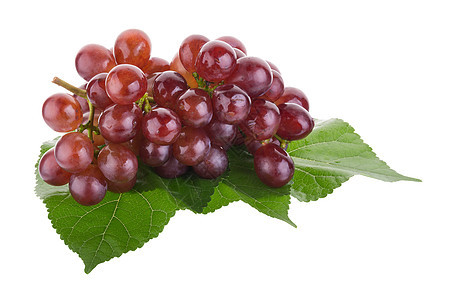 在白色背景上孤立的红葡萄红色食物紫色维生素叶子水果果汁绿色浆果图片