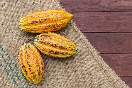 Cacao水果 原可可豆 木制的可可棚种子甜点红色棕色木头食物可可白色营养巧克力图片