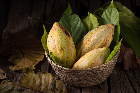 卡卡奥水果 生可可豆 木本底可可库甜点植物粮食巧克力桌子棕色食物木头热带可可图片