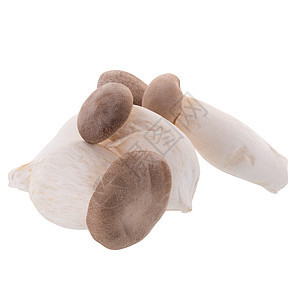 白色背景的新鲜原生蘑菇饮食健康国王植物棕色食物起源绿色侧耳牡蛎图片