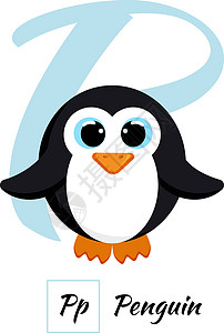 英文动物字母表字母 P 在矢量万科孩子们艺术卡通片公司插图企鹅乐趣学校动物园幼儿园图片