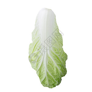 白色背景的中国新菜卷心菜 孤立于白底蔬菜绿色叶子食物树叶沙拉背景图片