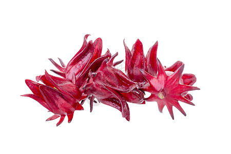 罗莎希比库斯萨布达里夫 白底红果花味道水果热带粉色玫瑰红色茶点白色草本蔬菜图片