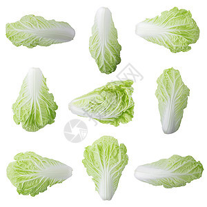 白色背景的中国新菜卷心菜 孤立于白底蔬菜沙拉食物绿色叶子树叶背景图片