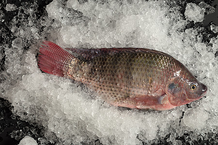 冰上和黑培根上的尼洛蒂卡鱼家畜海鲜烹饪眼睛销售淡水钓鱼农场热带市场图片