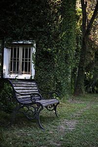 英语公园的长椅和窗户 有树叶纹理叶子座位场地凳子花园长凳场景植物椅子家具图片