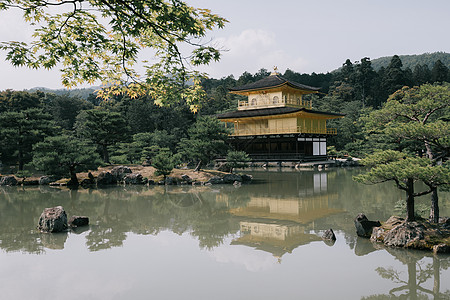 京都古代日本寺庙 有日本的青树叶公园建筑电影木头叶子房间旅行橙子神社花园图片