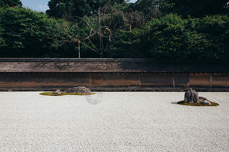 日本前石园 绿色的青春树叶 胶片古迹S寺庙园艺衬套公园岩石建筑学电影石头池塘叶子图片