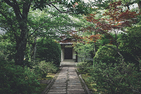 京都古代日本寺庙 有日本的青树叶建筑木头建筑学电影文化宝塔花园神道房子橙子图片