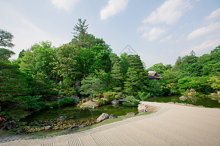 日本前石园 绿色的青春树叶 胶片古迹S文化池塘寺庙园艺叶子旅行衬套石头电影岩石图片