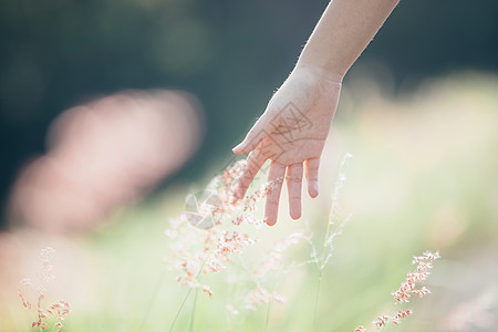 年轻女性手触摸小花卉图片