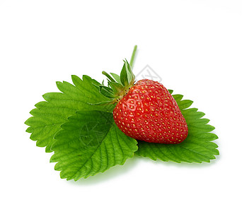 熟熟的红多汁草莓躺在绿叶上种子茶点叶子红色水果白色甜点食物浆果绿色图片