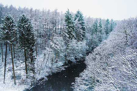 英国雪中覆盖的森林别墅农村小路乡村木头农场寒意树叶漂移树木图片