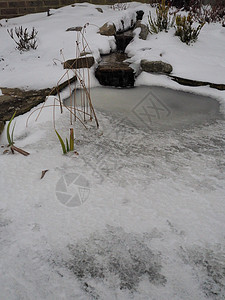 花园池塘 有溪流和瀑布 下雪 水面冰冻图片