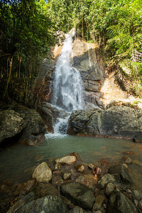 萨穆伊岛丛林中的热带秘密瀑布植物天堂木头游客岩石旅游旅行异国假期风景图片