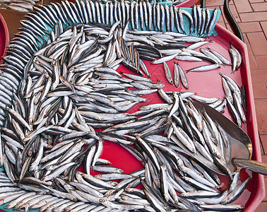 市场上的新鲜鱼展示餐厅海鲜海洋渔业购物眼睛收获图片