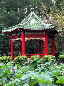 中国馆和莲花花花背景图片