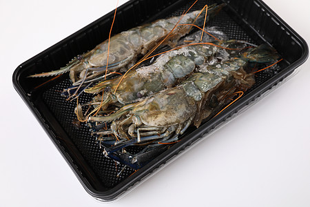 将原虾隔离在白井中营养宏观海鲜饮食老虎海洋食物动物美食烹饪图片