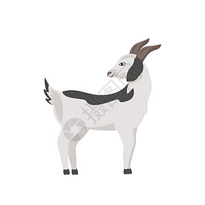 山羊与灰色斑点平面颜色矢量特征图片