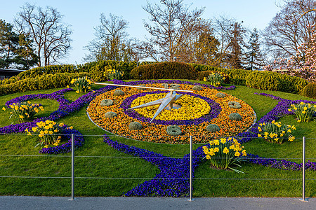 日内瓦公园花钟图片