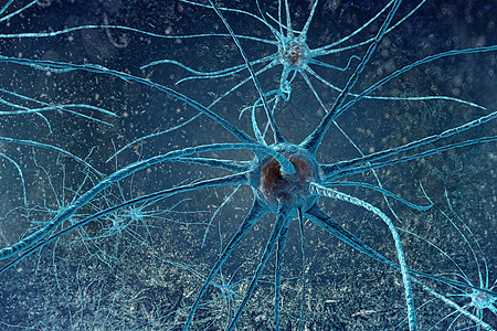 数字插图神经元头脑生物学活力科学信号药品细胞电子宏观轴突图片
