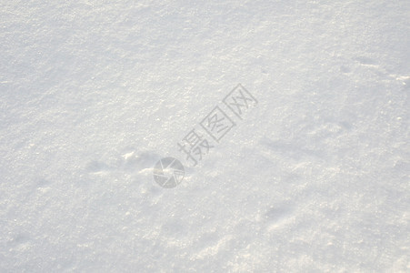 纹理雪降雪薄片天气冻结阳光季节雪堆公园宏观照片图片