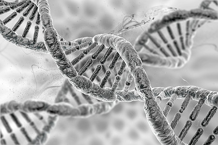 美丽背景下的 DNA 人类分子图片