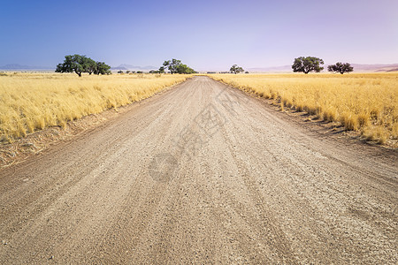 在非洲旅行和自驾公路旅行期间 纳米比亚附近长满草的纳米比亚稀树草原砾石路 显示地平线 无限点和戏剧性的黄金时段图片