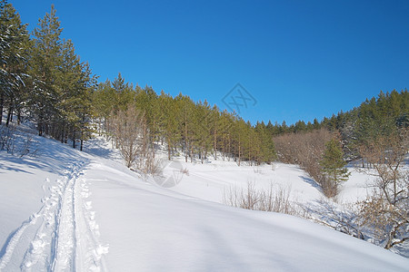 森林冬季地貌冻结旅行暴风雪童话阴影白色小路风景阳光季节性图片