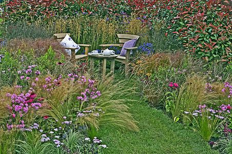 花园角 有草和花的露着花朵蓝色桌子灌木树篱针茅水平边界青虫时间图片