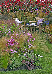 花园角 有草和花的露着花朵时间椅子边界青虫桌子粉色灌木边框针茅蓝色图片