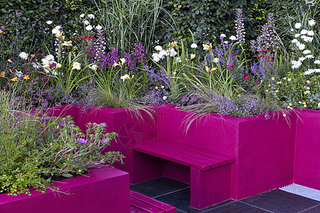 在一个露台上一个植种精良的现代花园花卉边框a图片
