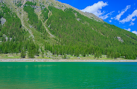沿着山坡沿着松树覆盖的青绿山湖植被天堂国家绿色公园暗示性白色旅行天空浅蓝色图片