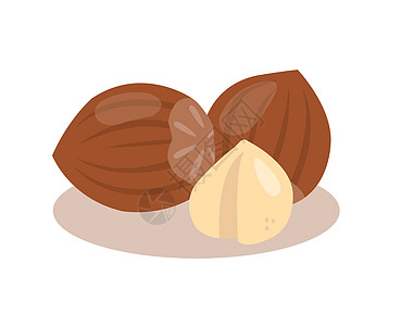 孤立在白色背景上的榛子味道烹饪维生素巧克力核心小吃扁豆叶子坚果椰子图片