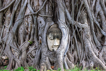 佛像之首是泰国阿尤塔亚Ayutthaya的马哈河谷历史寺庙佛教徒热带宗教地标宝塔建筑雕塑石头图片