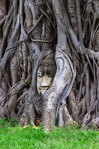 佛像之首是泰国阿尤塔亚Ayutthaya的马哈河谷遗产地标建筑寺庙叶子历史文化旅行建筑学宝塔图片