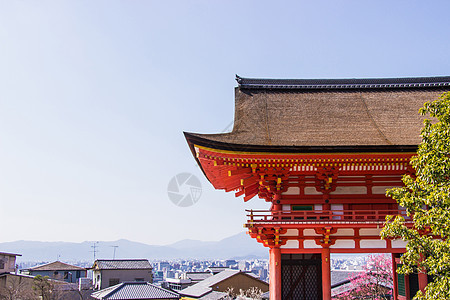 日本京都在樱花sakura开花期间 入口入口入口门寺庙即将盛开游客宝塔城市遗产神道旅行文化历史性建筑学季节图片