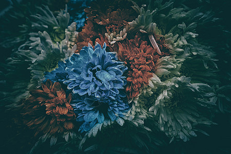 复古风格的七彩花朵背景背景图片