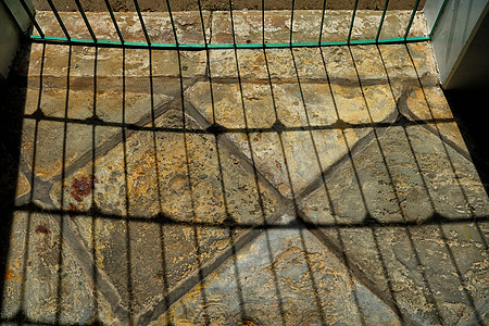 地面上的阳光叶子公园材料花园旅行艺术阴影岩石石头墙纸图片