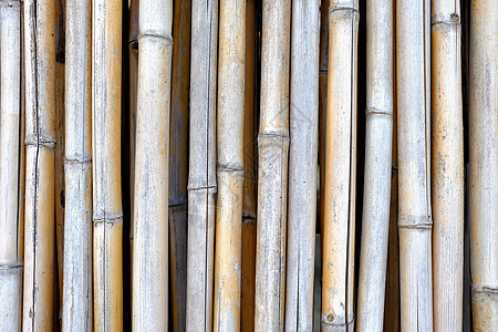 竹栅栏背景热带绑定生长园艺枝条木头丛林树枝花园风格图片