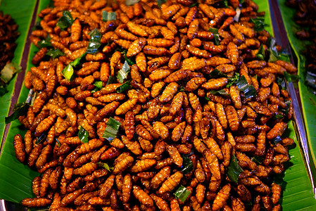 炸蚕蛹著名的泰国街头美食食谱图片