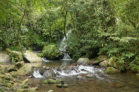 水在热带丛林中的 Yeh Ho 河中流过石头 美丽的瀑布位于印度尼西亚巴厘岛 Jatiluwih 梯田附近的 Tabanan 郁图片