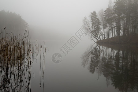 在宁静的湖上反射秋雾图片