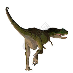 Rugops 恐龙尾图片