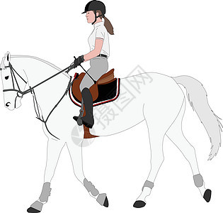 年轻女性骑优雅马的详细彩色插图图片
