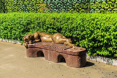 在基辅动物园的绿灌木背景下 坐在棕色长椅上的金雕像上 一个休息的母狮图片