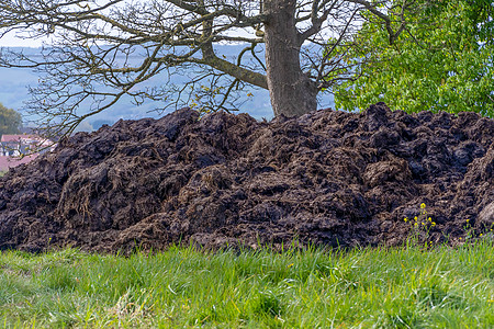 大量的牛粪肥动物肥料垃圾堆施肥粪堆牛粪场地土地奶牛农村图片