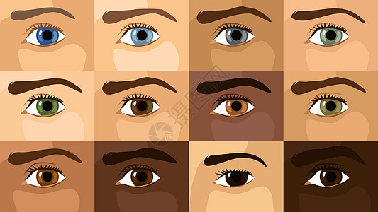 12种不同的眼睛颜色图片