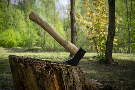 直立站立在树桩上树干木头篝火旅行活动活力日志木材林地乐器图片