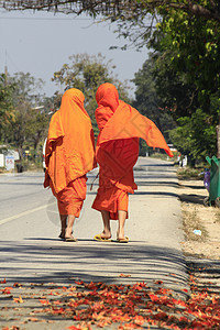 新手在街上行走和尚信仰祷告长袍旅行橙子寺庙街道宗教传统图片